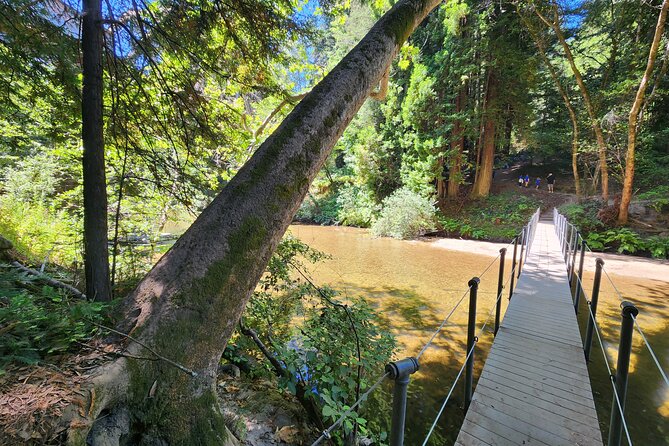 Train Ride Adventure through Mother Natures Giant Redwoods Park - Price and logistics: is $249 worth it?