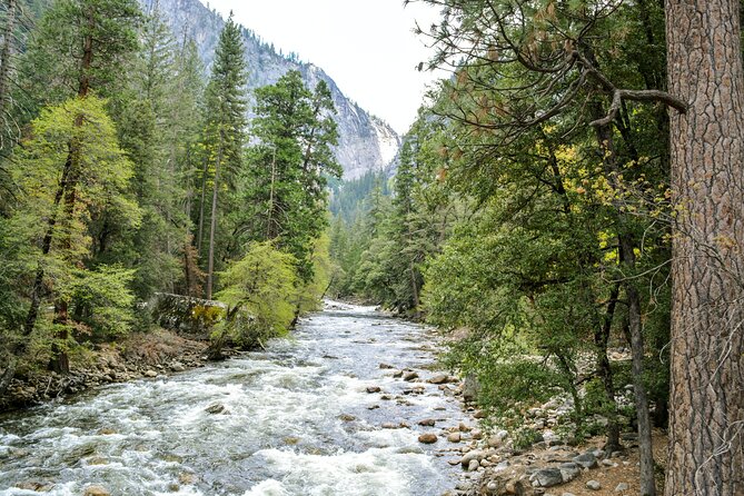 Yosemite Adventure: Full-Day Private Tour from San Francisco - Mariposa Grove Giant Sequoias: The Walk That Changes Your Scale