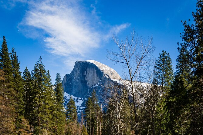 Yosemite Adventure: Full-Day Private Tour from San Francisco - The Big Trade-Off: No Meals Included