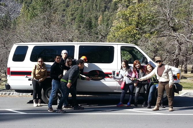 Yosemite and Glacier Point Tour from San Francisco by Amtrak - Group size and the guide: why the day feels smoother