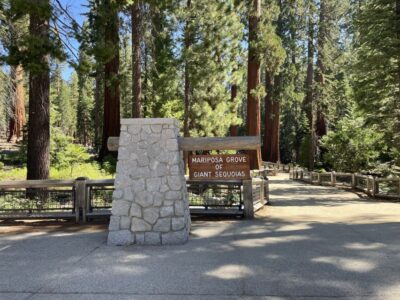 Yosemite, Giant Sequoias, Private Tour from San Francisco - Tuolumne Grove and the Guided Sequoia Experience