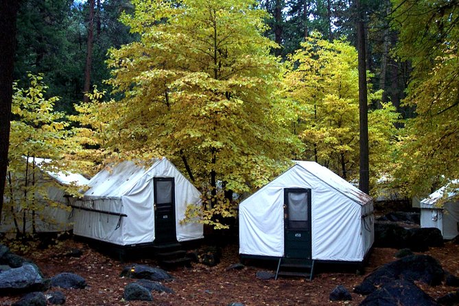 Yosemite National Park 2-Day Winter Tour from San Francisco - Yosemite in Winter, With Less Hassle Than Driving