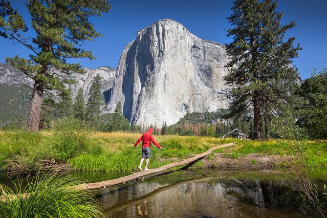 Yosemite National Park & Giant Sequoias 2-Day Semi-Guided Tour - Audio Guides and Live Storytelling: How the Tour Keeps You Oriented