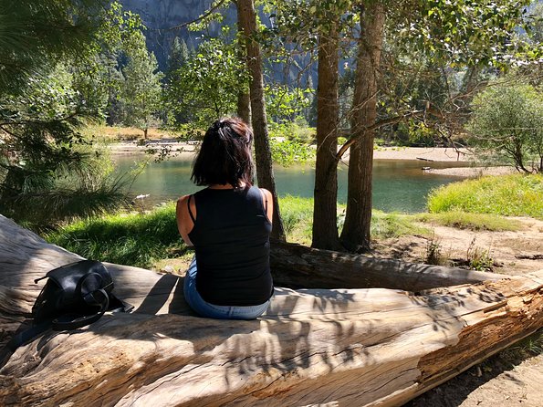 Yosemite National Park - One Way Trip - Tunnel View: why this stop is worth the crowd energy