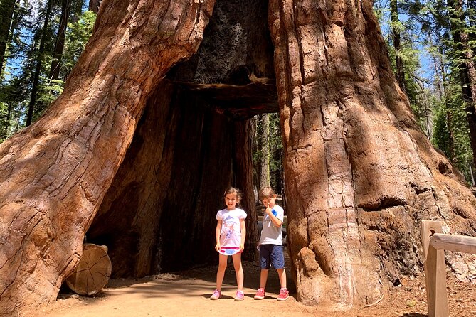 Yosemite Private Tour from San Francisco - A 6:00 am start that actually pays off: timing from San Francisco