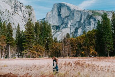 Yosemite Valley: 3-Day Lodging Adventure - Day 1: sequoias, a picnic stop, then your first Yosemite Valley hits