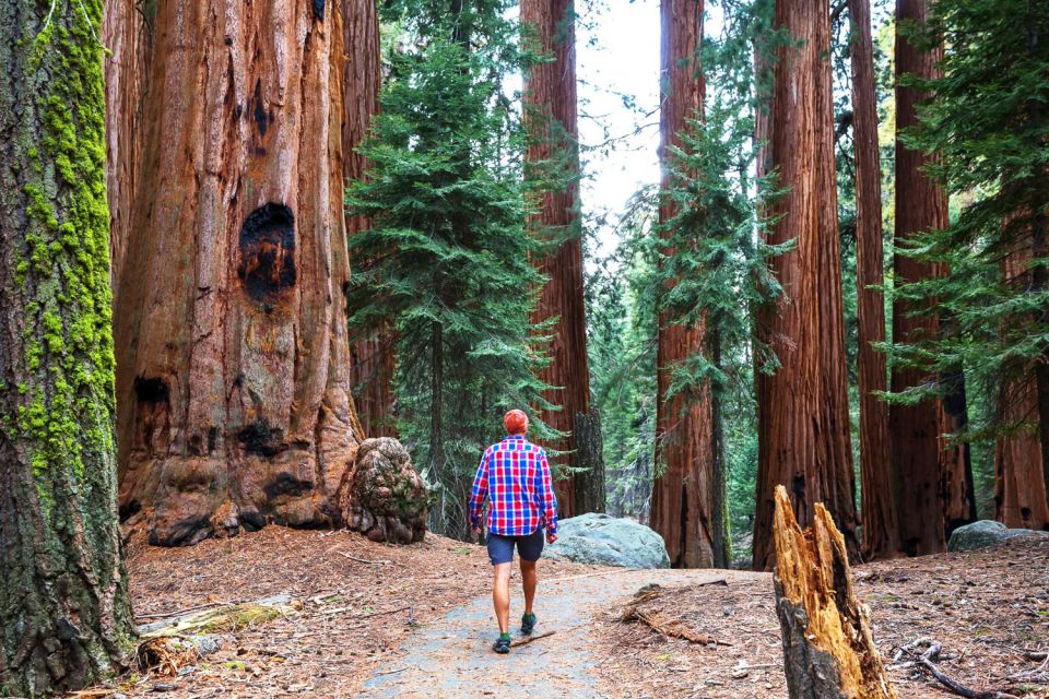 Yosemite Valley: 3-Day Lodging Adventure - Who should book this Yosemite Valley lodging adventure?