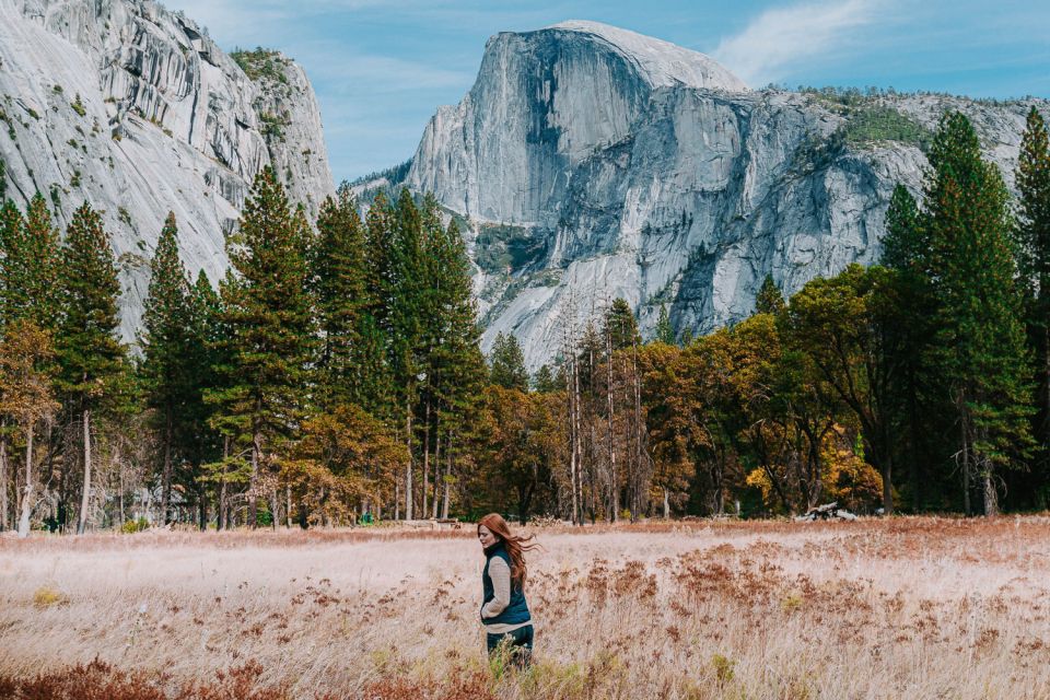 Yosemite Valley: 3-Day Lodging Adventure - Day 1: sequoias, a picnic stop, then your first Yosemite Valley hits