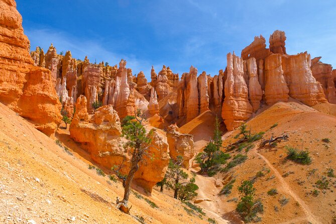 Zion, Bryce, Antelope, Grand Canyon, Las Vegas 6-Day Tour from SF - Key highlights before you commit